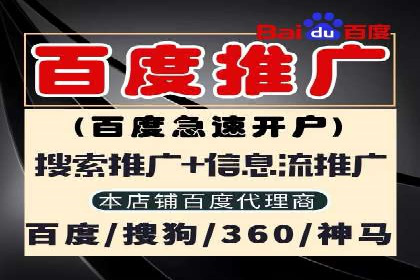 Sem优化公司实例：电商流量提升策略